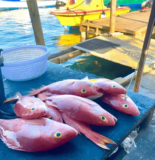 Exclusive Boat Aruba VIP Gallery